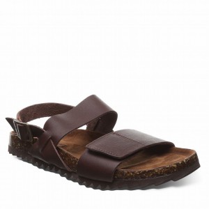 Bearpaw Alma II Sandalen Damen Braun | XUM4212PQ