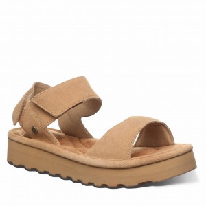 Bearpaw Crest Sandalen Damen Braun | IUG3382LX