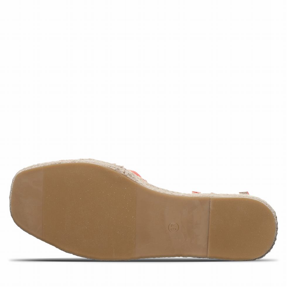 Bearpaw Affogato Sandalen Damen Rosa | MVT718CL