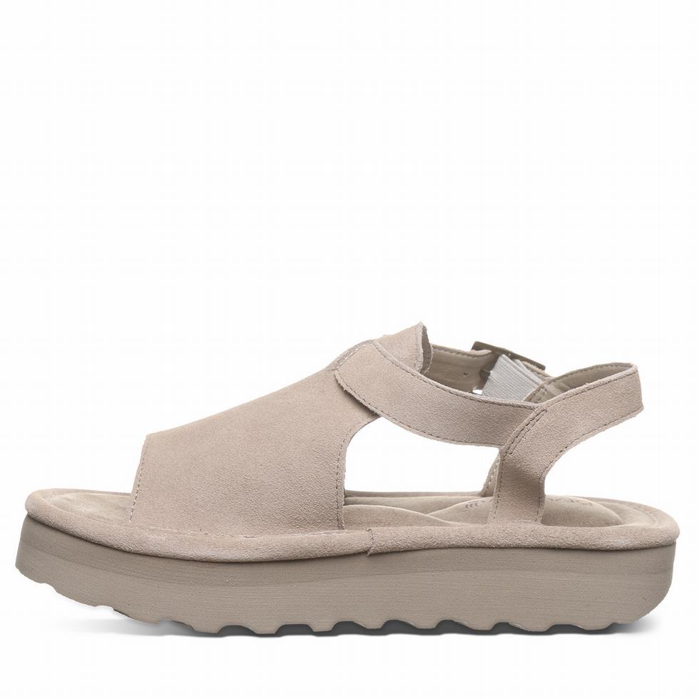 Bearpaw Ascend Sandalen Damen Grau | VJU8152SM