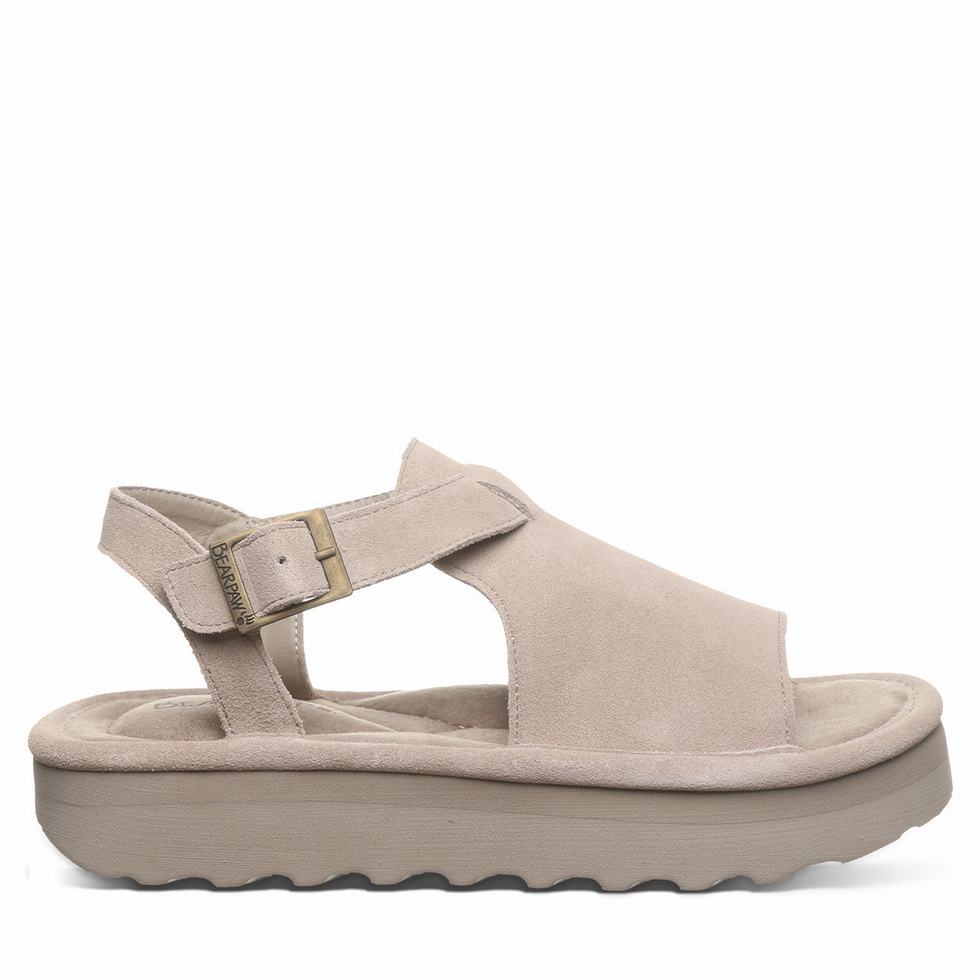 Bearpaw Ascend Sandalen Damen Grau | VJU8152SM