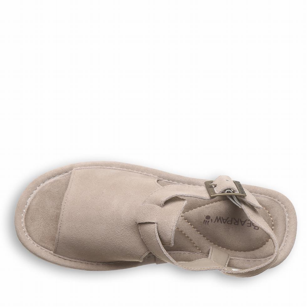 Bearpaw Ascend Sandalen Damen Grau | VJU8152SM