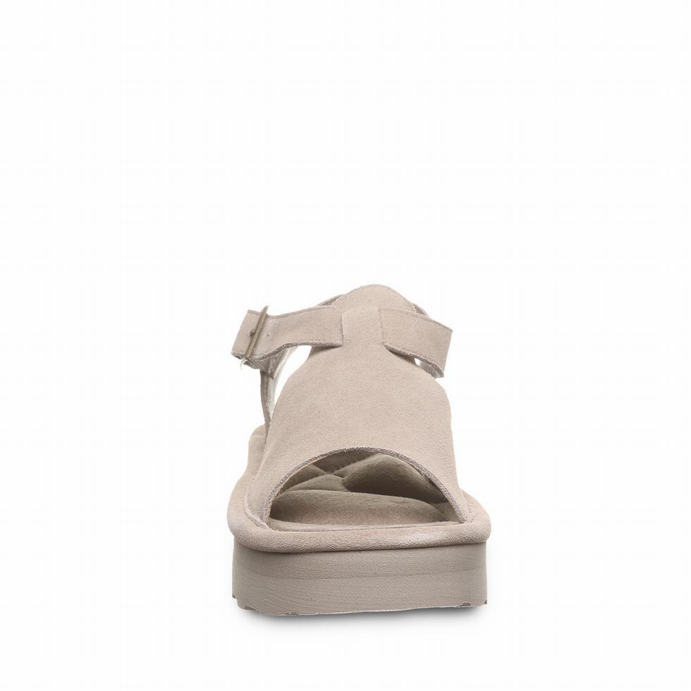 Bearpaw Ascend Sandalen Damen Grau | VJU8152SM