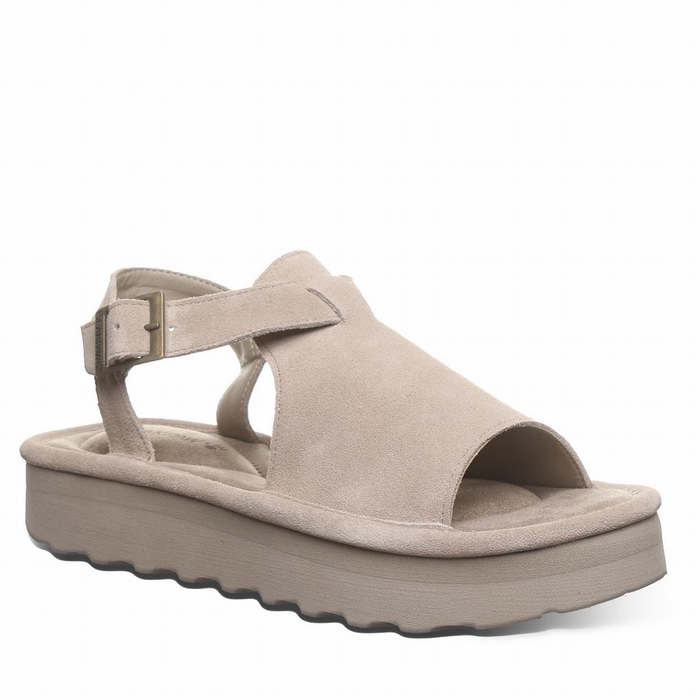 Bearpaw Ascend Sandalen Damen Grau | VJU8152SM