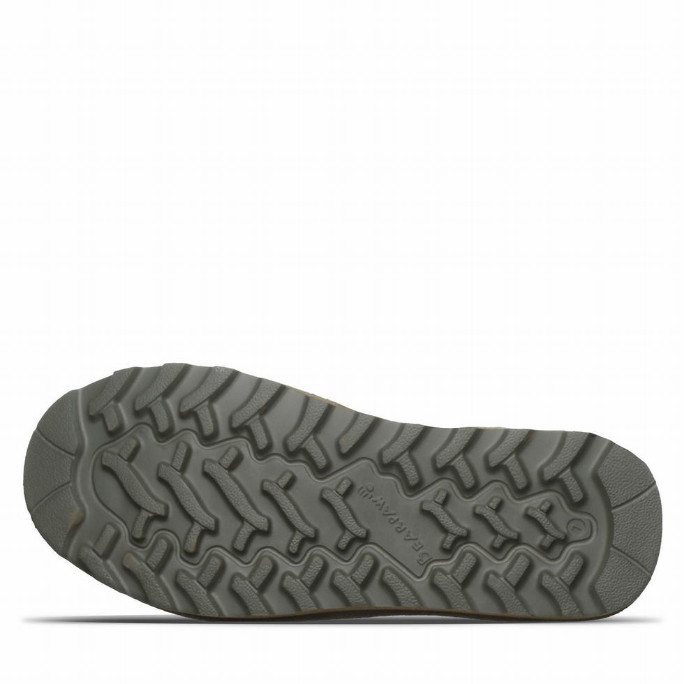 Bearpaw Ascend Sandalen Damen Grün | ZLW9547HT