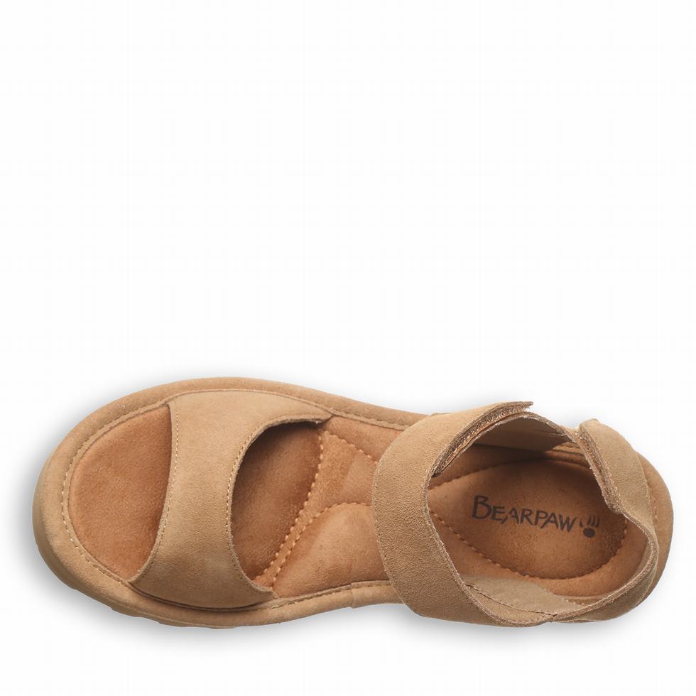 Bearpaw Crest Sandalen Damen Braun | IUG3382LX