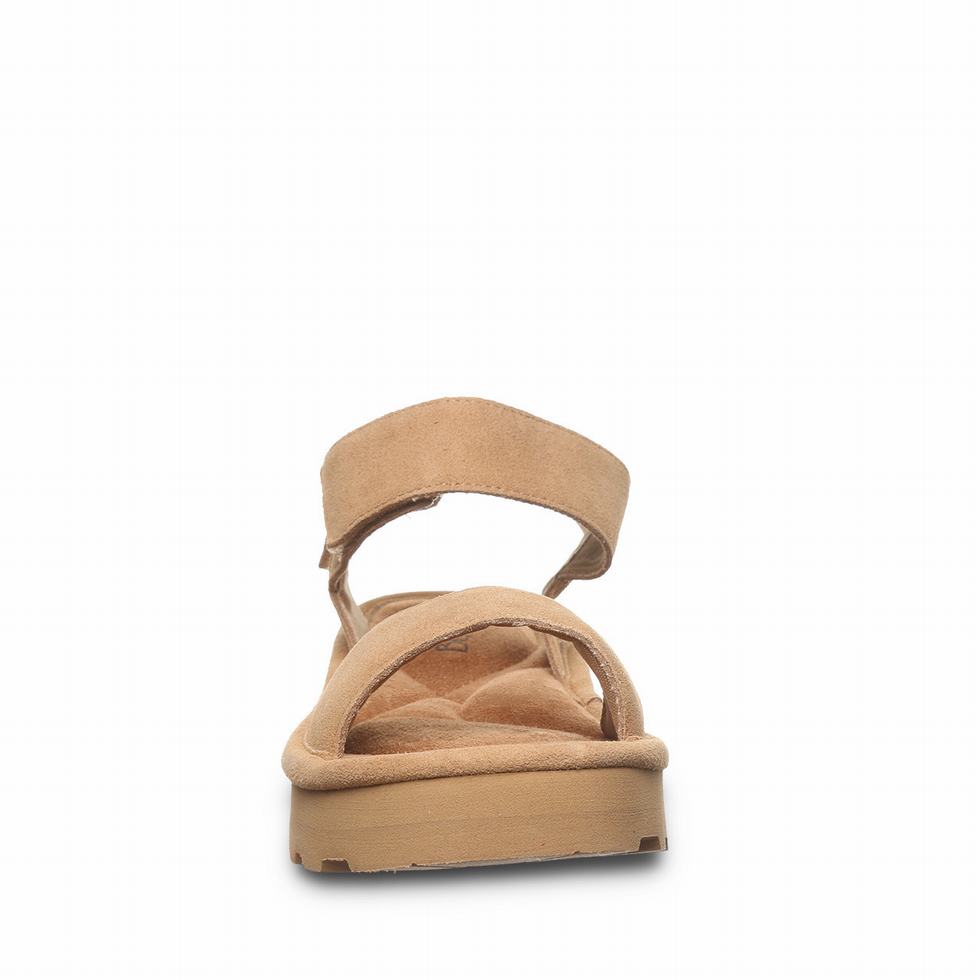 Bearpaw Crest Sandalen Damen Braun | IUG3382LX