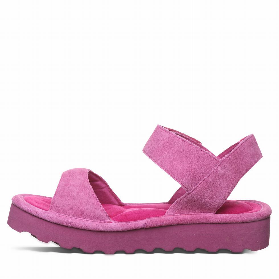 Bearpaw Crest Sandalen Damen Lila | OEQ9093JA