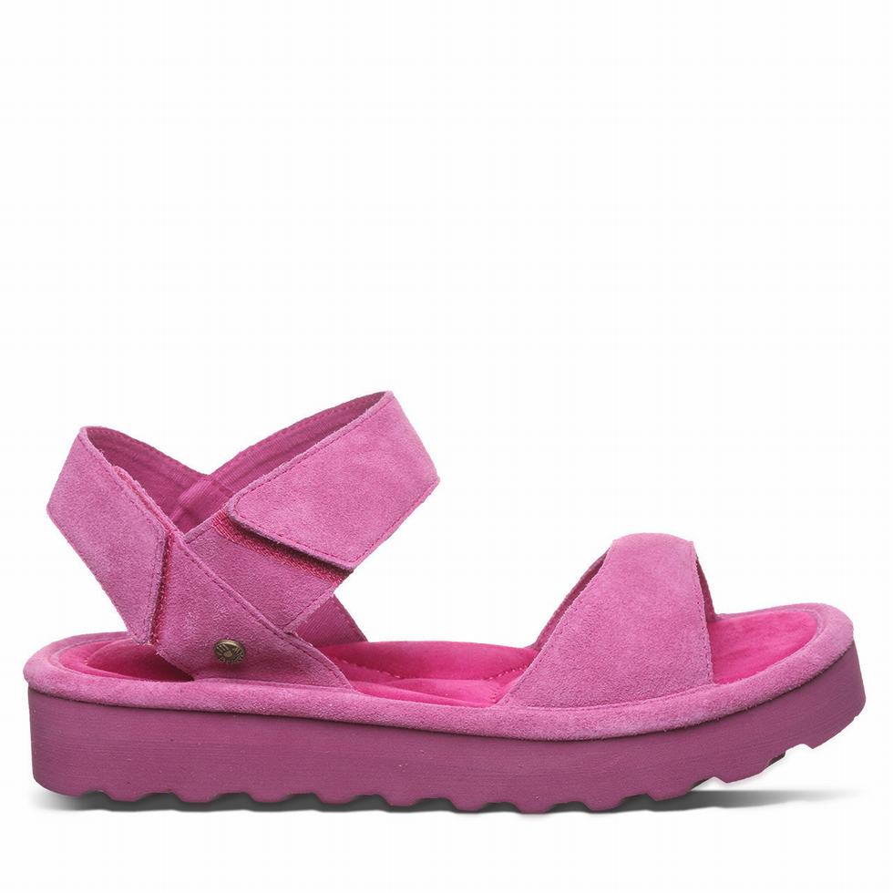 Bearpaw Crest Sandalen Damen Lila | OEQ9093JA