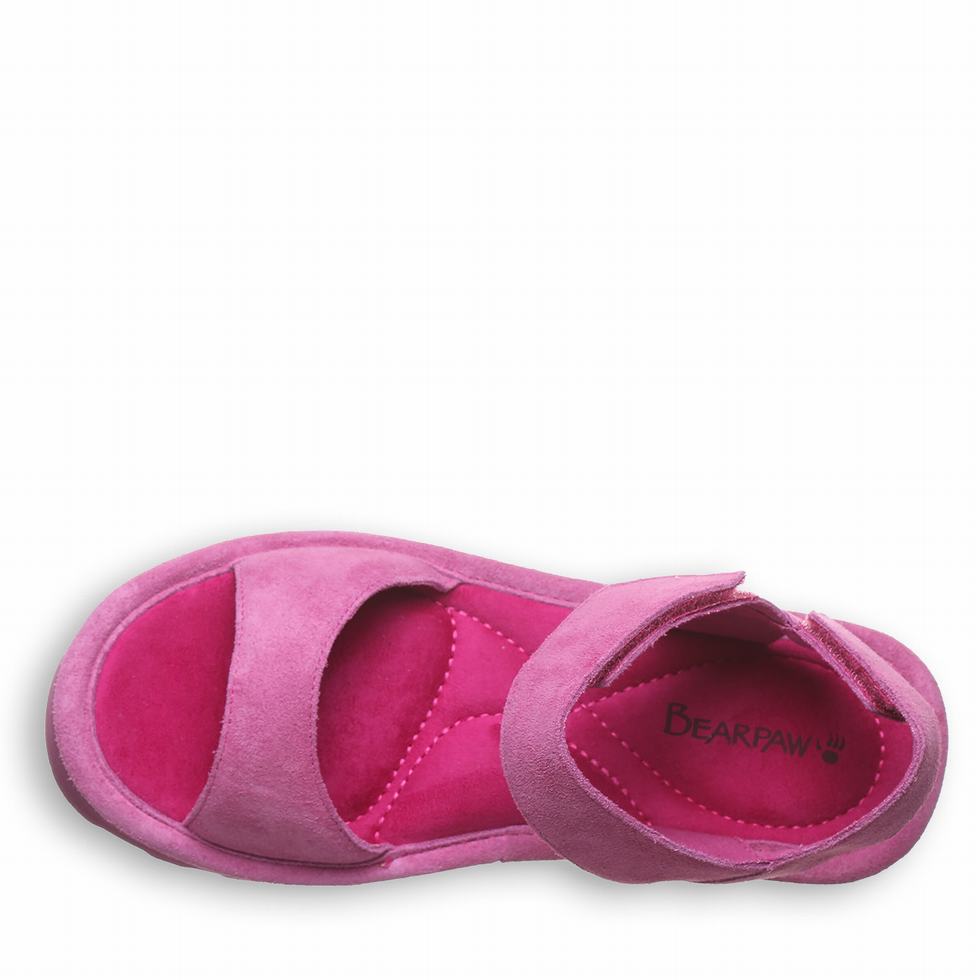 Bearpaw Crest Sandalen Damen Lila | OEQ9093JA