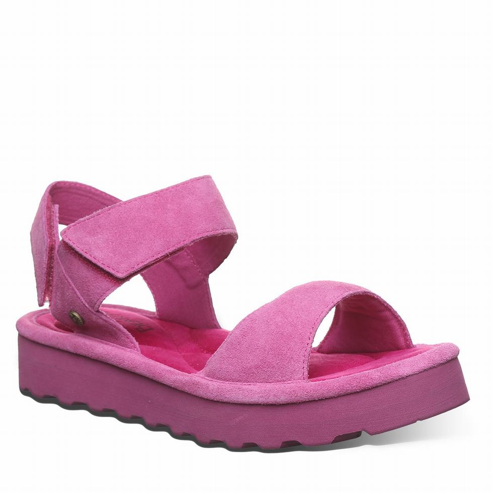 Bearpaw Crest Sandalen Damen Lila | OEQ9093JA