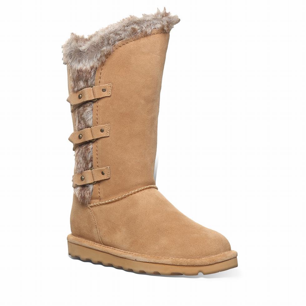 Bearpaw Emery Stiefel Damen Braun | FKJ7586MC