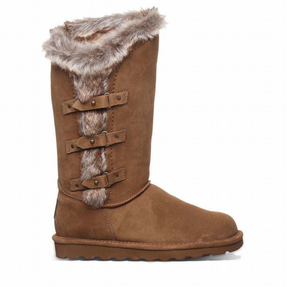 Bearpaw Emery Stiefel Damen Braun | SYB6964JD