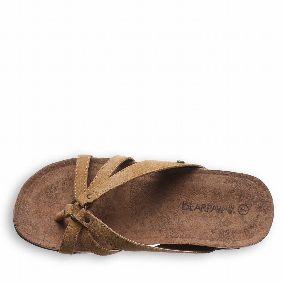 Bearpaw Fawn Sandalen Damen Braun | LOX3420OE