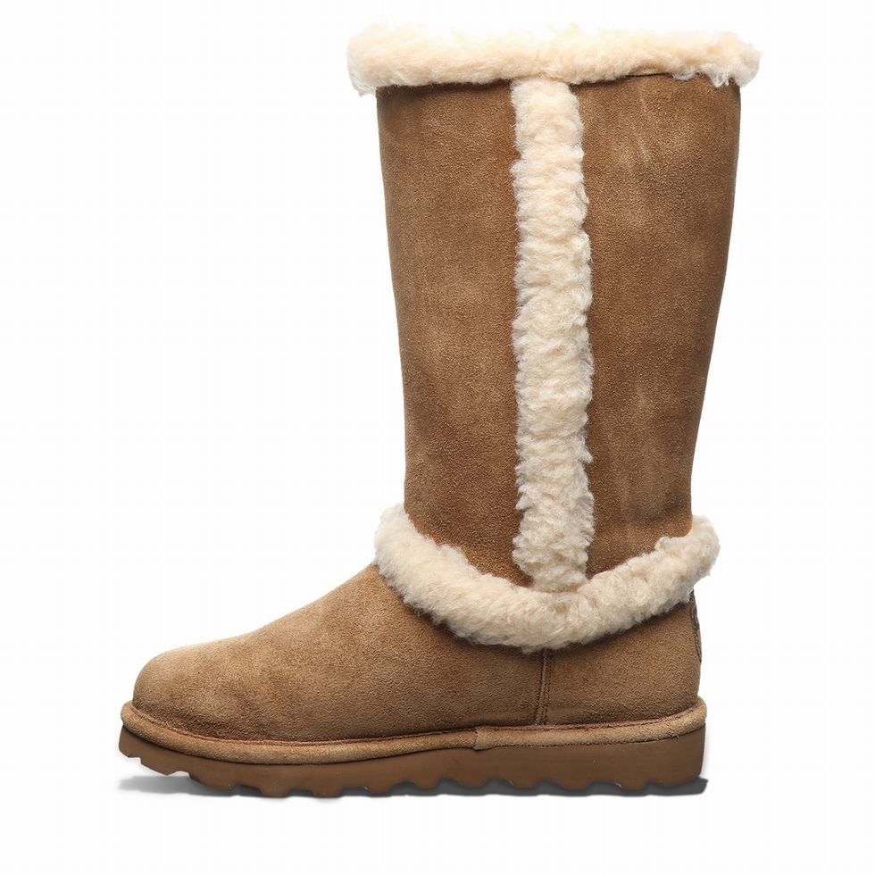 Bearpaw Kendall Stiefel Damen Braun | DMA7512YU