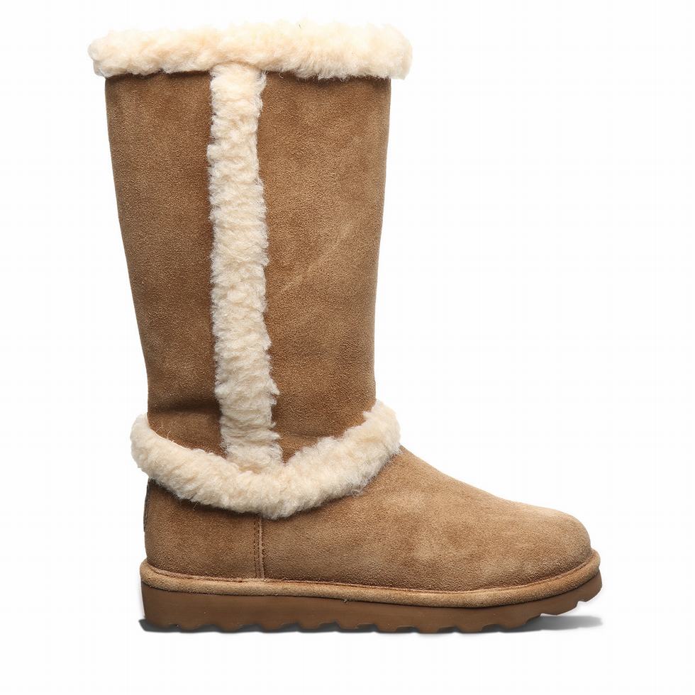 Bearpaw Kendall Stiefel Damen Braun | DMA7512YU