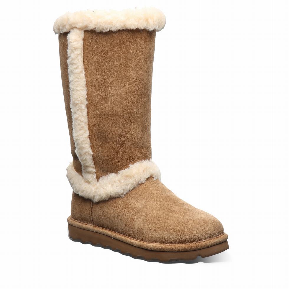 Bearpaw Kendall Stiefel Damen Braun | DMA7512YU