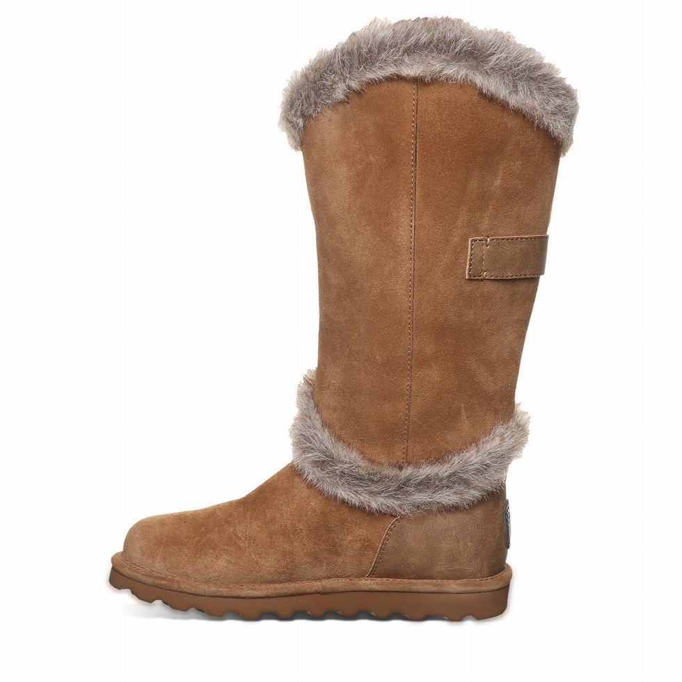 Bearpaw Sheilah Stiefel Damen Braun | QAE55CB