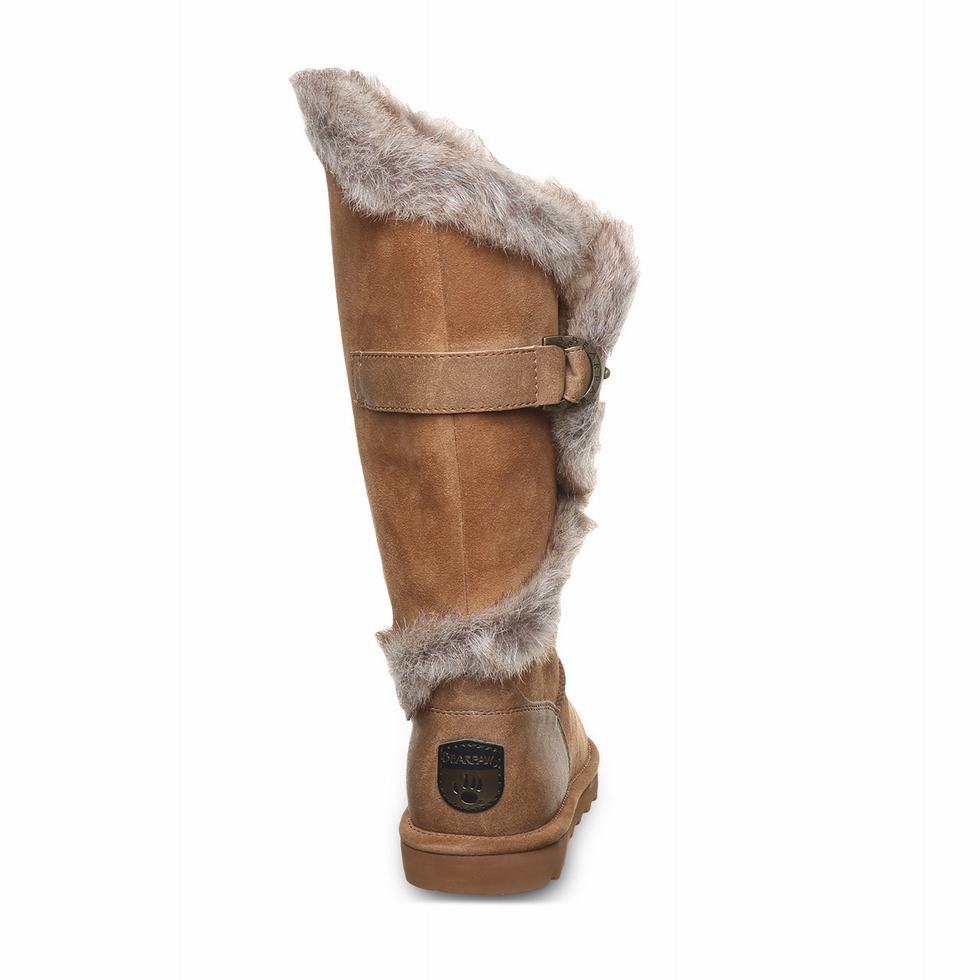 Bearpaw Sheilah Stiefel Damen Braun | QAE55CB