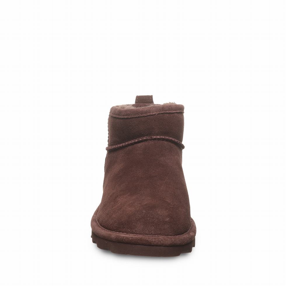 Bearpaw Shorty Stiefeletten Damen Braun | VGP2495RZ