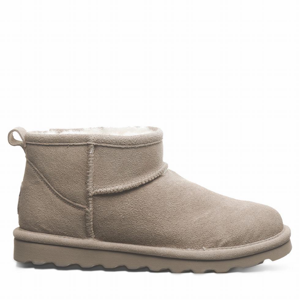 Bearpaw Shorty Stiefeletten Damen Braun | WIP5088LE