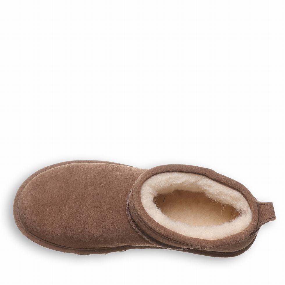 Bearpaw Shorty Stiefeletten Damen Braun | JPY7231LK