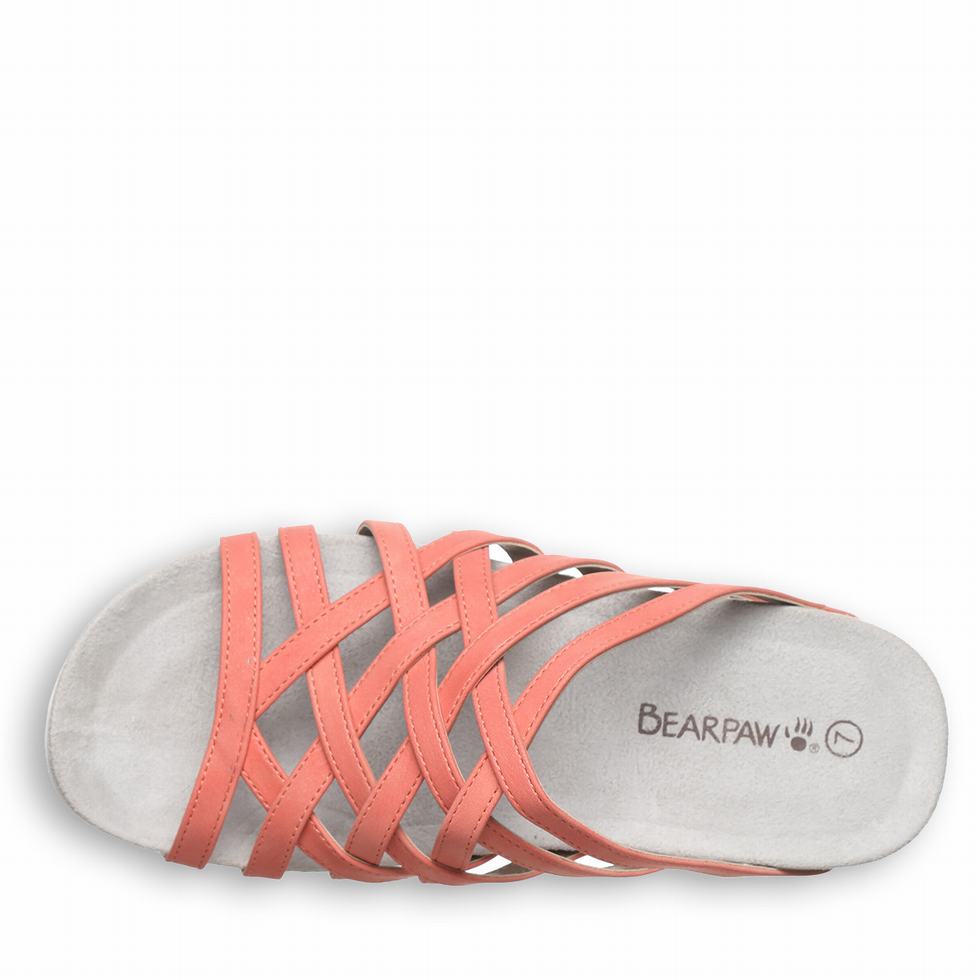 Bearpaw Zinnia Sandalen Damen Rosa | LJW8667ZZ